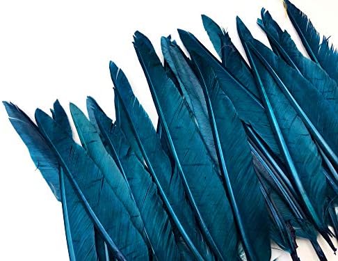 1 מארז-נוצות מצביע כנף ראשוניות ברווז כחול צהבהב 0.50 עוז. קרפט ליל כל הקדושים תלבושות קרנבל אספקת /