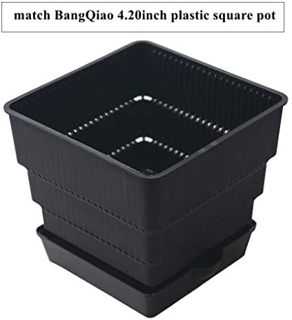Bangqiao 16 חבילה 3.20 אינץ 'מגש צלוחים מרובע מפלסטיק לצמחים מקורה וחיצונית, שחור