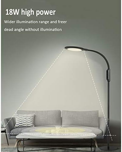 מנורת רצפה פינתית QFFL מנורת רצפת LED מודרנית 4 טמפרטורות צבע ו -5 התאמות גובה 60 דקות טיימר קריאה מנורה