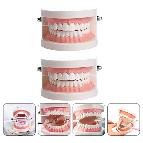 6 יחידות שימושי שן אוראלי אספקת מחקר ילד שיניים דגם ילדים הוראת שיניים דגם שיניים מודלים, אוראלי ילדי