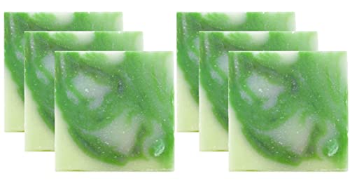 ארומטים ארציים סבון אלוורה טרי-מארז 6-תוצרת ארצות הברית-4.5 אונקיות / בר- טבעי